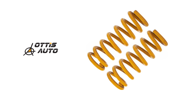 Tough Dog Springs F Toyota Lc200 45mm (Piece)