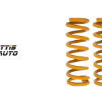 Tough Dog Springs Rear Nissan Y60/Y61 - PAIR