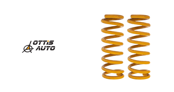 Tough Dog Springs Rear Nissan Y60/Y61 – PAIR